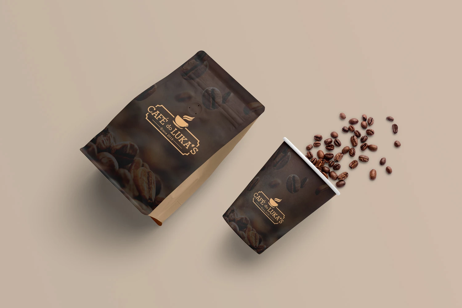 Brand Identity and Visual Language