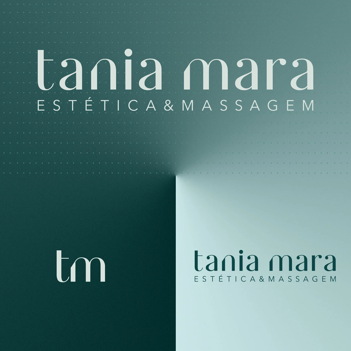 Brand Discovery and Visual Identity Development